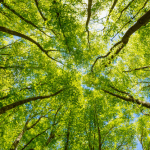 soigner-naturel-Image_220
