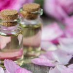 Rosa, plante médicinale pour la peau 1605488402_Rosa-plante-medicinale-pour-la-peau.jpg