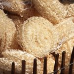 1605489161_Avantages-de-lutilisation-des-luffa.jpg