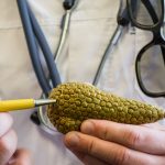 1605532541_Quels-facteurs-influencent-la-sante-du-pancreas.jpg