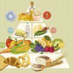 1605539553_Pyramide-alimentaire-vegetarienne.jpg