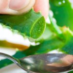 1605544383_LAloe-Vera-une-plante-medicinale-rafraichissante-et-cicatrisante.jpg