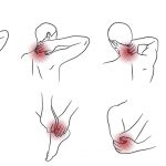 1605626887_10-plantes-pour-les-muscles-et-les-articulations.jpg