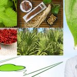 1605635717_Plantes-pour-la-sante-masculine.jpg