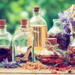 10 plantes médicinales essentielles dans votre maison 1605688698_10-plantes-medicinales-essentielles-dans-votre-maison.jpg