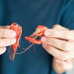 1605740453_Est-ce-dangereux-de-sucer-la-tete-de-crevettes.jpg