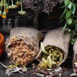 ce que c'est et les plantes à savoir 1605798849_ce-que-cest-et-les-plantes-a-savoir.jpg
