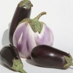 Aubergine: haute teneur en eau Aubergine-haute-teneur-en-eau.jpg