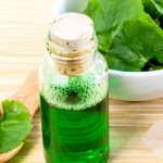 Centella-asiatica-plante-medicinale-tonique-et-antirhumatismale.jpg
