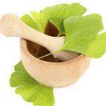 Ginkgo-feuilles-pour-la-circulation-et-graines-pour-lasthme.jpg