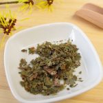 Hamamélis, plante médicinale astringente et anti-inflammatoire Hamamelis-plante-medicinale-astringente-et-anti-inflammatoire.jpg