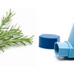 Traitement-naturel-au-romarin-pour-lasthme.jpg